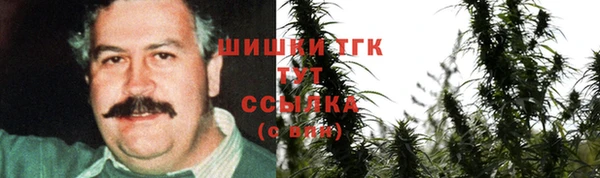 МДПВ Заводоуковск