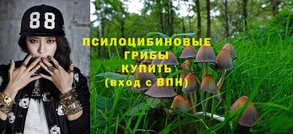 бошки Заволжск