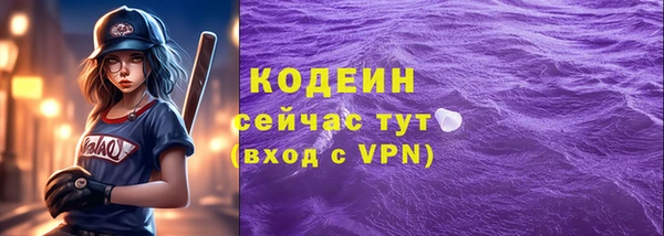МДПВ Заводоуковск