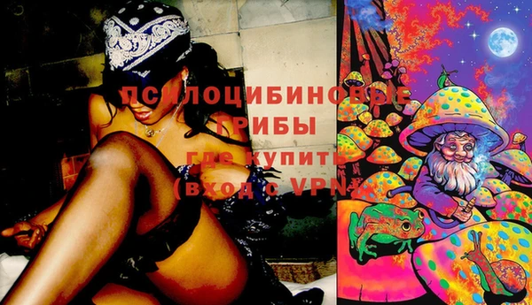 бошки Заволжск