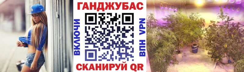 Каннабис OG Kush Западная Двина